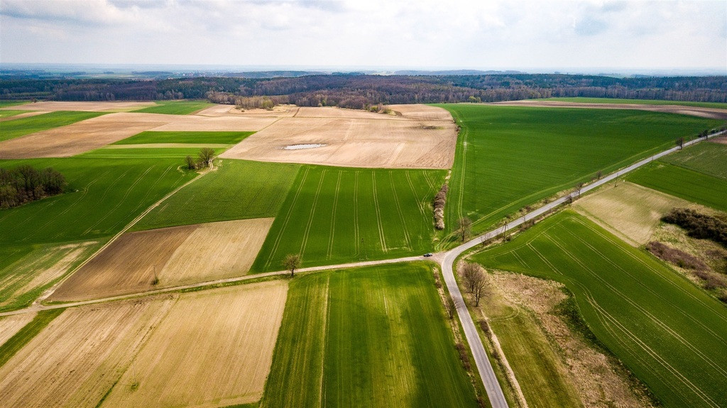 Działka Sprzedaż Jaszów 9
