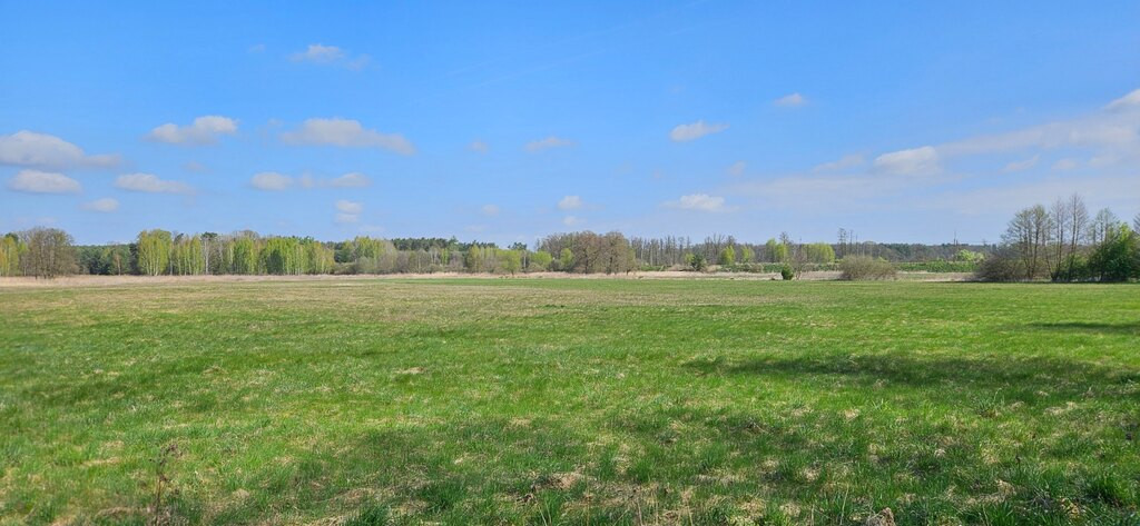 Działka Sprzedaż Borucice 1