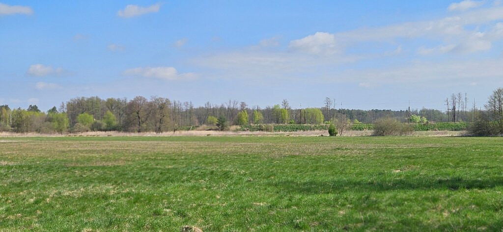 Działka Sprzedaż Borucice 2