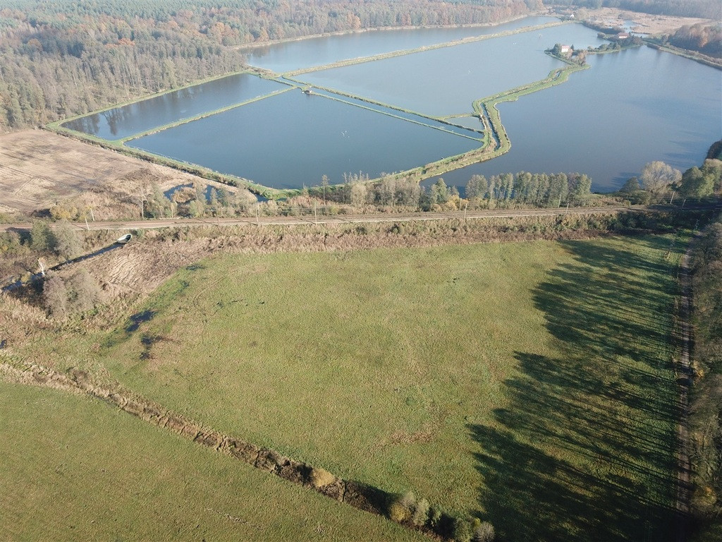 Działka Sprzedaż Borucice 5