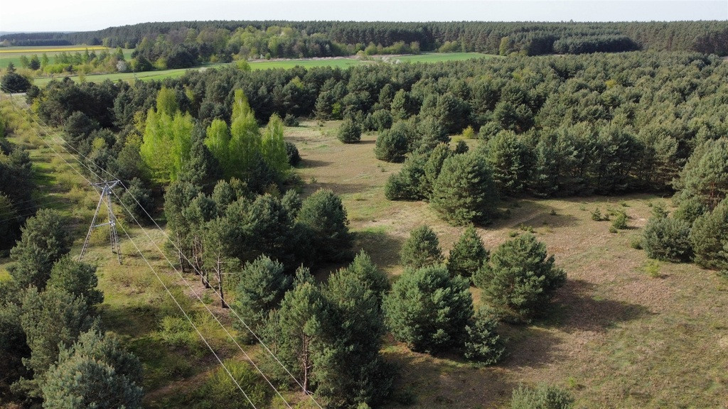 Działka Sprzedaż Biskupice Oławskie Polna