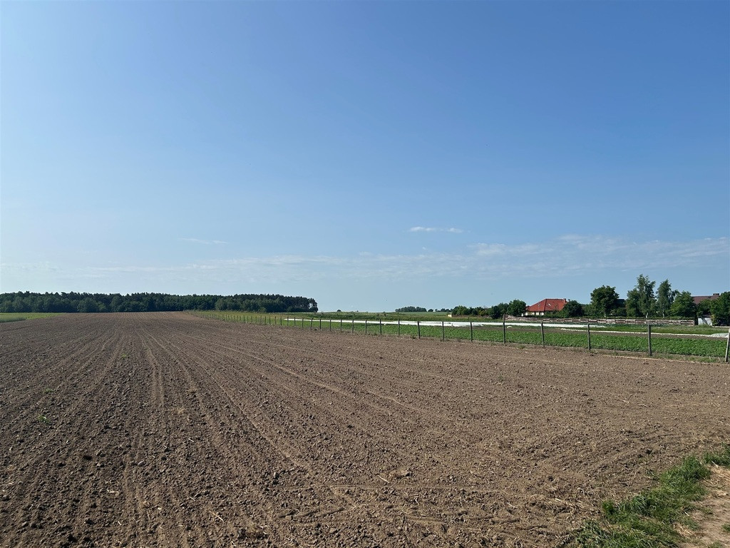Działka Sprzedaż Oleśniczka 6