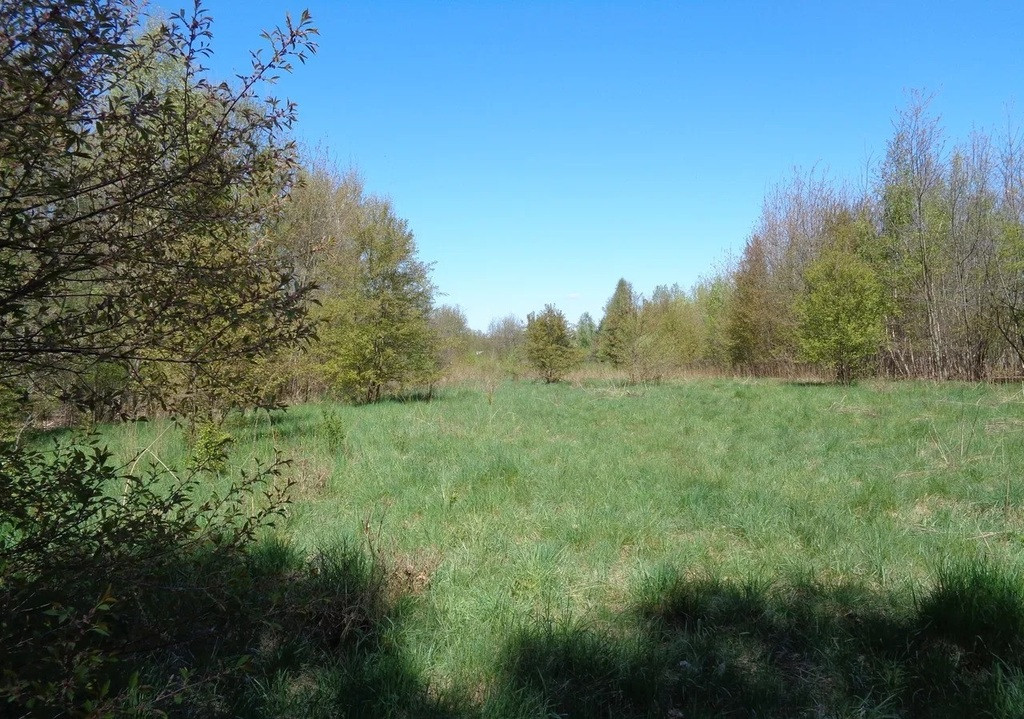Działka Sprzedaż Pabianice Jutrzkowice 15 Pułku Piechoty Wilków 3