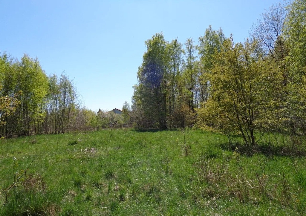 Działka Sprzedaż Pabianice Jutrzkowice 15 Pułku Piechoty Wilków 4