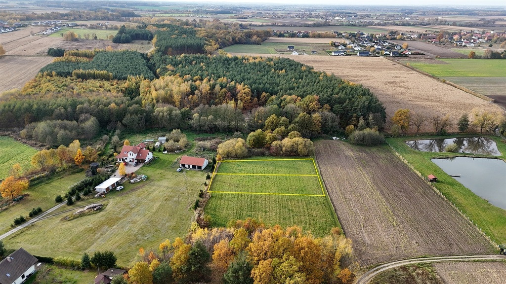Działka Sprzedaż Kobylice Radosna 10