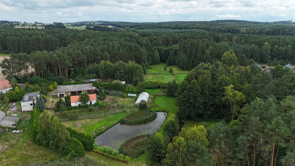 Dom Sprzedaż Kobyla Góra Miętowa 1