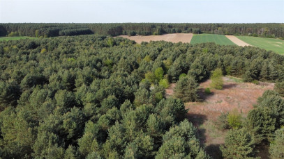 Działka Sprzedaż Biskupice Oławskie Polna