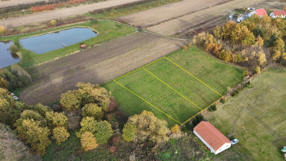 Działka Sprzedaż Kobylice Radosna