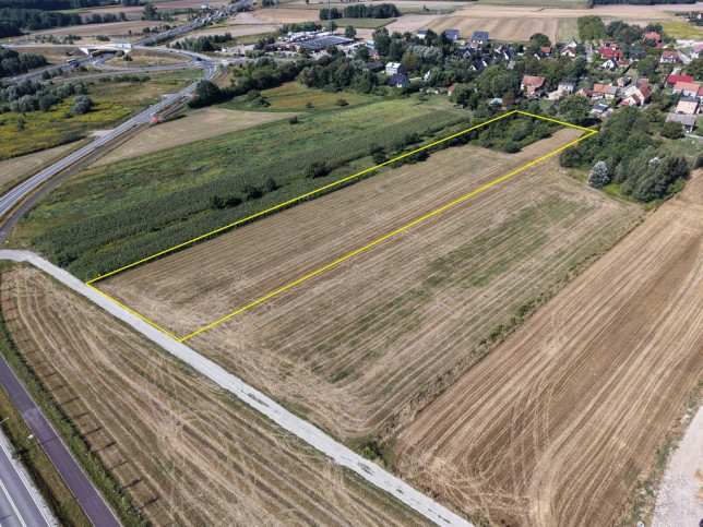 Działka Sprzedaż Łozina Lipowa 1